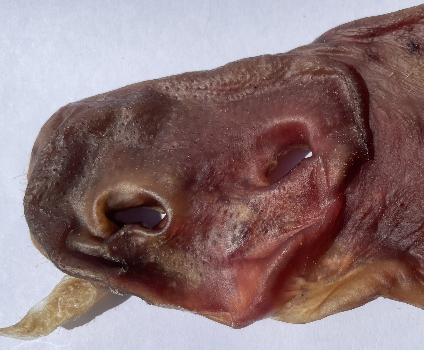 Air Dried Pork Snout