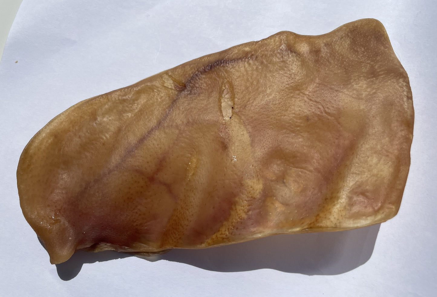 Air Dried Pork Ear