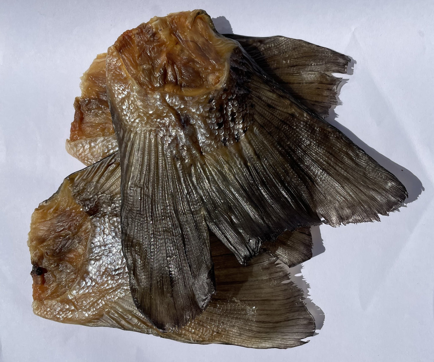 Air Dried Salmon Tails